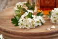 Fresh hawthorn flowers with a bottle of homemade tincture Royalty Free Stock Photo