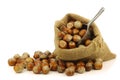 Fresh hazelnuts in a burlap bag with a scoop Royalty Free Stock Photo