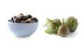 Fresh hazelnuts isolated on white background. Hazelnuts in a bowl with copy space for text. Royalty Free Stock Photo