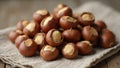 Fresh hazelnuts with shells on rustic cloth Royalty Free Stock Photo