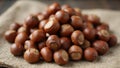 Fresh hazelnuts with shells on rustic cloth Royalty Free Stock Photo