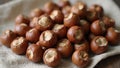 Fresh hazelnuts with shells on rustic cloth Royalty Free Stock Photo