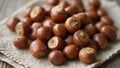Fresh hazelnuts with shells on rustic cloth Royalty Free Stock Photo