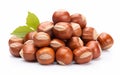 Fresh Hazelnuts on White Background Royalty Free Stock Photo