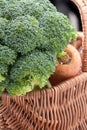Fresh head of broccoli in a basket Royalty Free Stock Photo