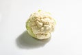 A fresh head of cauliflower isolated on white background Royalty Free Stock Photo