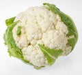 Fresh head of cauliflower on white background Royalty Free Stock Photo