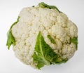 Fresh head of cauliflower on white background Royalty Free Stock Photo