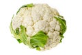 Fresh head of cauliflower on white background Royalty Free Stock Photo