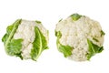 Fresh head of cauliflower on white background Royalty Free Stock Photo