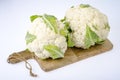 Fresh head of cauliflower on white background Royalty Free Stock Photo