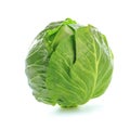 Single cabbage on white