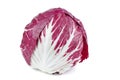 Fresh head of radicchio salad isolated on white Royalty Free Stock Photo