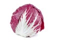 Fresh head of radicchio salad isolated on white background Royalty Free Stock Photo