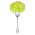 Fresh headed cabbage on fork, 3D rendering