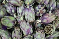 Fresh heads of globe Artichokes for sale on farmers market. Bio product for vegetable cookers Royalty Free Stock Photo