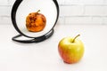 fresh apple appears wrinkled and rotten in reflection of mirror. Concept of psychology, self esteem