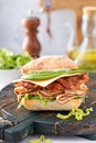 Fresh and healthy avocado turkey sandwich with swiss cheese Royalty Free Stock Photo