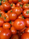 Fresh healthy tomatoes vitamin C sourse Royalty Free Stock Photo
