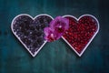 Fresh healthy berries in a white heart shape representing on dark vintage background - Healthy food, Vegetarian Valentine`s day Royalty Free Stock Photo