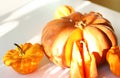 Fresh healthy bio pumpkins on white table at autumn. Healthy food. Composition with pumpkins on wooden table, many different multi