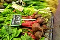 Fresh healthy bunch of beetroot Royalty Free Stock Photo