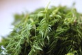 Fresh and healthy chopped leaves of wild chervil (Anthriscus sylvestris)