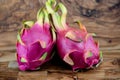 Dragonfruit Selenicereus undatus Royalty Free Stock Photo