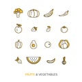 Fresh healthy fruit and vegetable icons made in trendy line style vector.