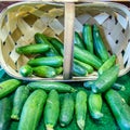 Fresh healthy green zucchini courgettes in basket
