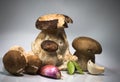 Fresh healthy happy family of mushrooms cep porcini boletus edulis with basil herb and garlic Royalty Free Stock Photo