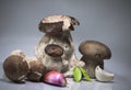 Fresh healthy happy family of mushrooms cep porcini boletus edulis with basil herb, garlic and shallot Royalty Free Stock Photo