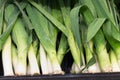 Fresh, healthy Leeks on display