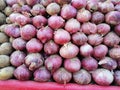 Fresh and healthy onion in market for sale