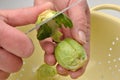 fresh and healthy organic brussels sprouts