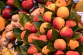 Fresh healthy peach fruits in a basket on a fruit market Royalty Free Stock Photo