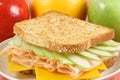 Fresh and healthy picnic sandwich