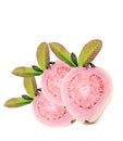 Fresh healthy pink quava fruit Royalty Free Stock Photo