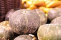 Fresh healthy pumpkin squash cushaw cuaurbit marrow squash been sold on shelf in supermarket Royalty Free Stock Photo