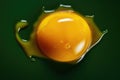 Fresh healthy raw food breakfast protein white eggs yolk yellow