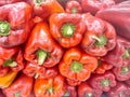 Fresh red peppers sold in a small market in ParanÃÂ¡, Brazil Royalty Free Stock Photo