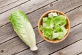 Fresh healthy romaine lettuce salad Royalty Free Stock Photo