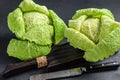 Fresh healthy savoy cabbage. Dark background. Top view