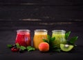 Fresh healthy smoothies from different berries Royalty Free Stock Photo