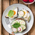 Fresh healthy toasts with radish and cucumber