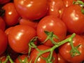 Fresh healthy tomatoes on a tasty pile of energizing nutrition