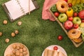 Fresh healthy tropical fruit on a picnic blanket on the grass with grapes, apple, grapefruit, orange and banana Royalty Free Stock Photo