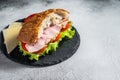 Fresh and healthy turkey sandwich with white cheese, tomato and Lettuce in white bread. White background. Top view. Copy Royalty Free Stock Photo