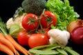 Fresh Healthy Vegetables
