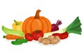 Fresh healthy vegetables banner. Bright composition of farm product pumpkin, potatoes, zucchini, tomatoes, . Collection